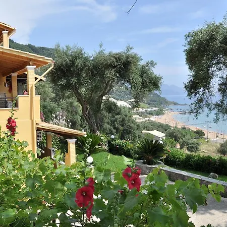 Apartment Lidovois House *