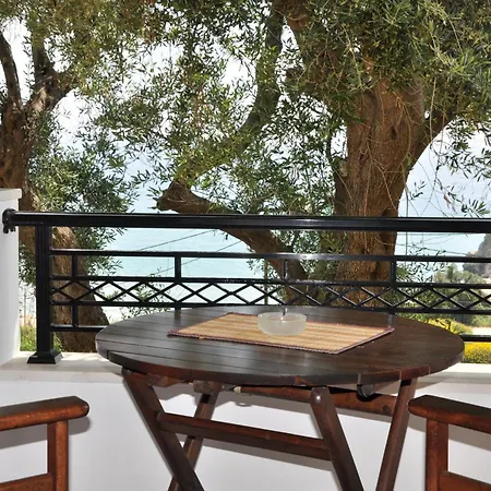 Apartment Lidovois House