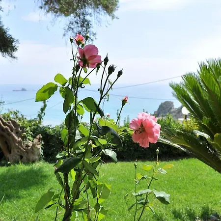 Apartman Lidovois House
